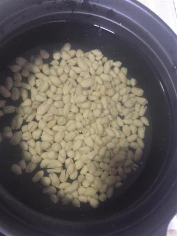 圆肉花生排骨汤怎么做，圆肉花生排骨汤怎么做好吃，圆肉花生排骨汤做法