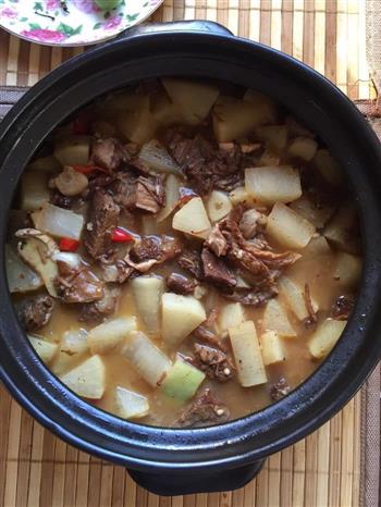 白萝卜炖牛腩怎么做，白萝卜炖牛腩怎么做好吃，白萝卜炖牛腩做法