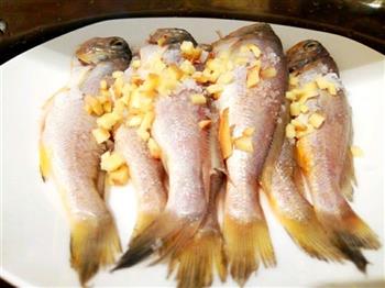 清蒸小梅鱼怎么做，清蒸小梅鱼怎么做好吃，清蒸小梅鱼做法