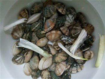 原汁原味烤花蛤怎么做,原汁原味烤花蛤怎么做好吃,原汁原味烤花蛤做法 原汁原味烤花蛤怎么做,原汁原味烤花蛤怎么做好吃,原汁原味烤花蛤做法