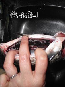 砂锅什锦鲫鱼汤怎么做，砂锅什锦鲫鱼汤怎么做好吃，砂锅什锦鲫鱼汤做法