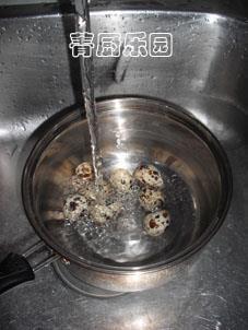 砂锅什锦鲫鱼汤怎么做，砂锅什锦鲫鱼汤怎么做好吃，砂锅什锦鲫鱼汤做法