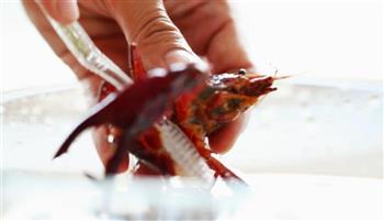 麻小&小龙虾怎么做，麻小&小龙虾怎么做好吃，麻小&小龙虾做法