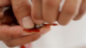 麻小&小龙虾怎么做，麻小&小龙虾怎么做好吃，麻小&小龙虾做法