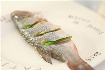 家常清蒸鲈鱼 宝宝辅食微课堂怎么做，家常清蒸鲈鱼 宝宝辅食微课堂怎么做好吃，家常清蒸鲈鱼 宝宝辅食微课堂做法