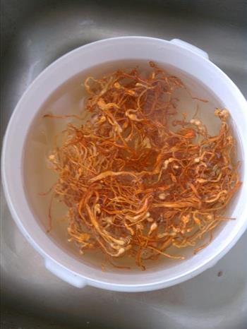 老鸭炖虫草花怎么做,老鸭炖虫草花怎么做好吃,老鸭炖虫草花做法 老鸭炖虫草花怎么做,老鸭炖虫草花怎么做好吃,老鸭炖虫草花做法