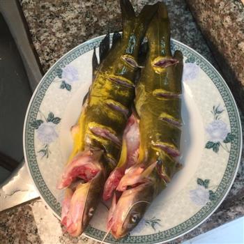鼓汁蒸黄骨鱼怎么做,鼓汁蒸黄骨鱼怎么做好吃,鼓汁蒸黄骨鱼做法 鼓汁蒸黄骨鱼怎么做,鼓汁蒸黄骨鱼怎么做好吃,鼓汁蒸黄骨鱼做法