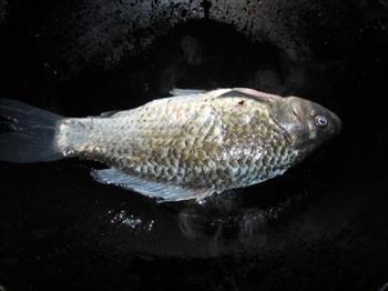 木瓜腰豆鲫鱼汤怎么做,木瓜腰豆鲫鱼汤怎么做好吃,木瓜腰豆鲫鱼汤做法 木瓜腰豆鲫鱼汤怎么做,木瓜腰豆鲫鱼汤怎么做好吃,木瓜腰豆鲫鱼汤做法