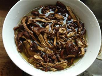 茶树菇龙骨汤怎么做,茶树菇龙骨汤怎么做好吃,茶树菇龙骨汤做法 茶树菇龙骨汤怎么做,茶树菇龙骨汤怎么做好吃,茶树菇龙骨汤做法