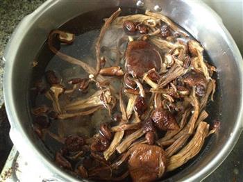 茶树菇龙骨汤怎么做,茶树菇龙骨汤怎么做好吃,茶树菇龙骨汤做法 茶树菇龙骨汤怎么做,茶树菇龙骨汤怎么做好吃,茶树菇龙骨汤做法