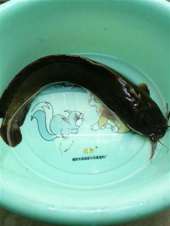 塘虱魚焗瓦罉饭怎么做,塘虱魚焗瓦罉饭怎么做好吃,塘虱魚焗瓦罉饭做法