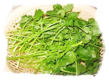 皮蛋芫荽鱼片汤怎么做,皮蛋芫荽鱼片汤怎么做好吃,皮蛋芫荽鱼片汤做法 皮蛋芫荽鱼片汤怎么做,皮蛋芫荽鱼片汤怎么做好吃,皮蛋芫荽鱼片汤做法