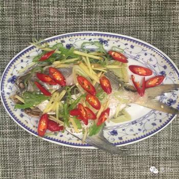 清蒸鲳鳊鱼怎么做,清蒸鲳鳊鱼怎么做好吃,清蒸鲳鳊鱼做法 清蒸鲳鳊鱼怎么做,清蒸鲳鳊鱼怎么做好吃,清蒸鲳鳊鱼做法