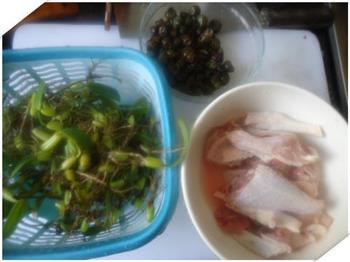 石橄榄田螺鸡汤怎么做,石橄榄田螺鸡汤怎么做好吃,石橄榄田螺鸡汤做法