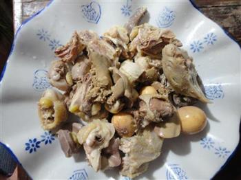 黄芪枸杞叶子鸡汤怎么做,黄芪枸杞叶子鸡汤怎么做好吃,黄芪枸杞叶子鸡汤做法 黄芪枸杞叶子鸡汤怎么做,黄芪枸杞叶子鸡汤怎么做好吃,黄芪枸杞叶子鸡汤做法