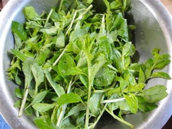 黄芪枸杞叶子鸡汤怎么做,黄芪枸杞叶子鸡汤怎么做好吃,黄芪枸杞叶子鸡汤做法 黄芪枸杞叶子鸡汤怎么做,黄芪枸杞叶子鸡汤怎么做好吃,黄芪枸杞叶子鸡汤做法