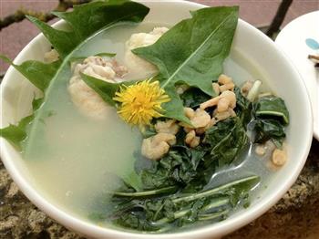蒲公英虾米鸡汤怎么做,蒲公英虾米鸡汤怎么做好吃,蒲公英虾米鸡汤做法 蒲公英虾米鸡汤怎么做,蒲公英虾米鸡汤怎么做好吃,蒲公英虾米鸡汤做法
