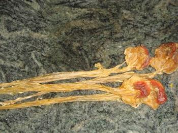 明目鱼煲汤怎么做,明目鱼煲汤怎么做好吃,明目鱼煲汤做法