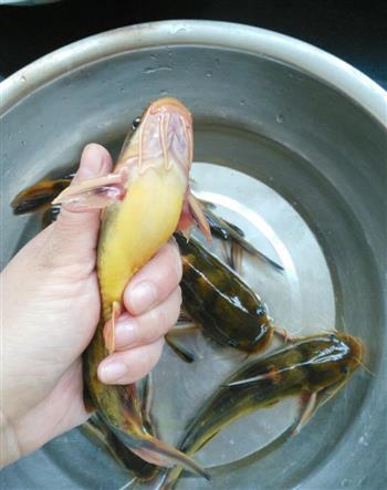 花生炖昂刺鱼怎么做,花生炖昂刺鱼怎么做好吃,花生炖昂刺鱼做法 花生炖昂刺鱼怎么做,花生炖昂刺鱼怎么做好吃,花生炖昂刺鱼做法