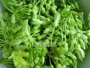 夜兰花豆腐汤怎么做,夜兰花豆腐汤怎么做好吃,夜兰花豆腐汤做法