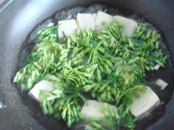 夜兰花豆腐汤怎么做，夜兰花豆腐汤怎么做好吃，夜兰花豆腐汤做法