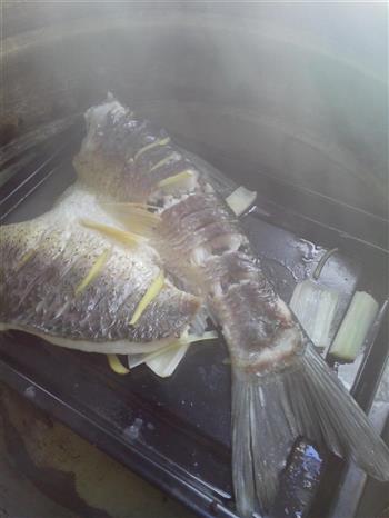 香辣清蒸什锦草鱼怎么做,香辣清蒸什锦草鱼怎么做好吃,香辣清蒸什锦草鱼做法 香辣清蒸什锦草鱼怎么做,香辣清蒸什锦草鱼怎么做好吃,香辣清蒸什锦草鱼做法