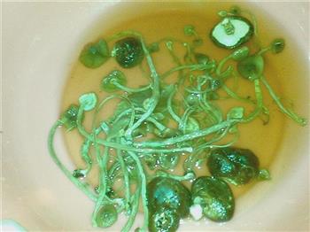 茶树菇香粉汤怎么做,茶树菇香粉汤怎么做好吃,茶树菇香粉汤做法 茶树菇香粉汤怎么做,茶树菇香粉汤怎么做好吃,茶树菇香粉汤做法