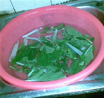 茶树菇香粉汤怎么做,茶树菇香粉汤怎么做好吃,茶树菇香粉汤做法 茶树菇香粉汤怎么做,茶树菇香粉汤怎么做好吃,茶树菇香粉汤做法