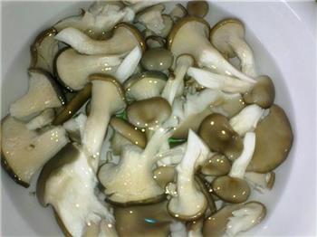鲫鱼蘑菇汤怎么做,鲫鱼蘑菇汤怎么做好吃,鲫鱼蘑菇汤做法 鲫鱼蘑菇汤怎么做,鲫鱼蘑菇汤怎么做好吃,鲫鱼蘑菇汤做法
