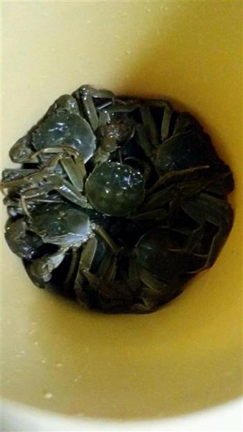 清蒸大闸蟹-附巧洗螃蟹怎么做,清蒸大闸蟹-附巧洗螃蟹怎么做好吃,清蒸大闸蟹-附巧洗螃蟹做法 清蒸大闸蟹-附巧洗螃蟹怎么做,清蒸大闸蟹-附巧洗螃蟹怎么做好吃,清蒸大闸蟹-附巧洗螃蟹做法