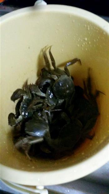 清蒸大闸蟹-附巧洗螃蟹怎么做,清蒸大闸蟹-附巧洗螃蟹怎么做好吃,清蒸大闸蟹-附巧洗螃蟹做法 清蒸大闸蟹-附巧洗螃蟹怎么做,清蒸大闸蟹-附巧洗螃蟹怎么做好吃,清蒸大闸蟹-附巧洗螃蟹做法