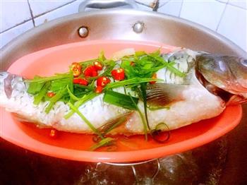 减肥养生餐-清蒸鲤鱼怎么做,减肥养生餐-清蒸鲤鱼怎么做好吃,减肥养生餐-清蒸鲤鱼做法 减肥养生餐-清蒸鲤鱼怎么做,减肥养生餐-清蒸鲤鱼怎么做好吃,减肥养生餐-清蒸鲤鱼做法