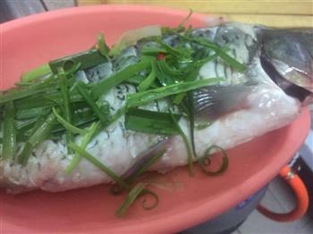 减肥养生餐-清蒸鲤鱼怎么做，减肥养生餐-清蒸鲤鱼怎么做好吃，减肥养生餐-清蒸鲤鱼做法