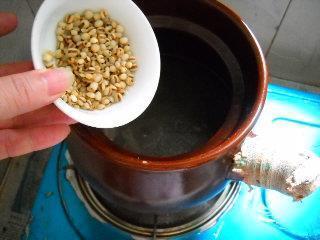薏米菊花雏鸽汤怎么做,薏米菊花雏鸽汤怎么做好吃,薏米菊花雏鸽汤做法 薏米菊花雏鸽汤怎么做,薏米菊花雏鸽汤怎么做好吃,薏米菊花雏鸽汤做法