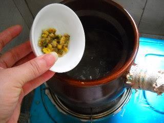 薏米菊花雏鸽汤怎么做,薏米菊花雏鸽汤怎么做好吃,薏米菊花雏鸽汤做法 薏米菊花雏鸽汤怎么做,薏米菊花雏鸽汤怎么做好吃,薏米菊花雏鸽汤做法