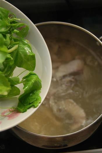 鱼片豌豆尖汤怎么做,鱼片豌豆尖汤怎么做好吃,鱼片豌豆尖汤做法 鱼片豌豆尖汤怎么做,鱼片豌豆尖汤怎么做好吃,鱼片豌豆尖汤做法