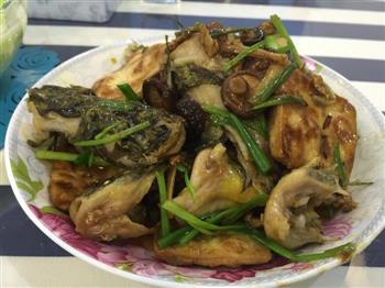 红烧黄蜂鱼怎么做,红烧黄蜂鱼怎么做好吃,红烧黄蜂鱼做法