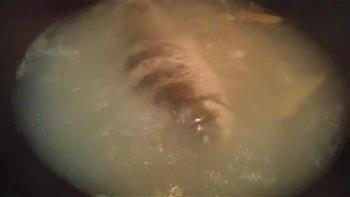 鲫鱼鸡蛋汤怎么做,鲫鱼鸡蛋汤怎么做好吃,鲫鱼鸡蛋汤做法 鲫鱼鸡蛋汤怎么做,鲫鱼鸡蛋汤怎么做好吃,鲫鱼鸡蛋汤做法