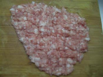 野菜肉馄饨怎么做，野菜肉馄饨怎么做好吃，野菜肉馄饨做法