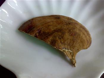 鸡骨草灵芝排毒汤怎么做,鸡骨草灵芝排毒汤怎么做好吃,鸡骨草灵芝排毒汤做法