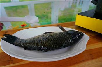 健康饮食-清蒸鲫鱼怎么做,健康饮食-清蒸鲫鱼怎么做好吃,健康饮食-清蒸鲫鱼做法 健康饮食-清蒸鲫鱼怎么做,健康饮食-清蒸鲫鱼怎么做好吃,健康饮食-清蒸鲫鱼做法