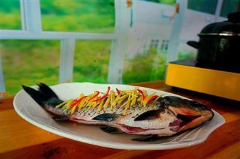 健康饮食-清蒸鲫鱼怎么做,健康饮食-清蒸鲫鱼怎么做好吃,健康饮食-清蒸鲫鱼做法 健康饮食-清蒸鲫鱼怎么做,健康饮食-清蒸鲫鱼怎么做好吃,健康饮食-清蒸鲫鱼做法