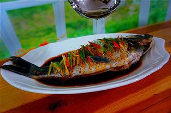 健康饮食-清蒸鲫鱼怎么做,健康饮食-清蒸鲫鱼怎么做好吃,健康饮食-清蒸鲫鱼做法 健康饮食-清蒸鲫鱼怎么做,健康饮食-清蒸鲫鱼怎么做好吃,健康饮食-清蒸鲫鱼做法