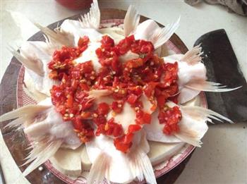 清蒸鲜鱼翅怎么做,清蒸鲜鱼翅怎么做好吃,清蒸鲜鱼翅做法 清蒸鲜鱼翅怎么做,清蒸鲜鱼翅怎么做好吃,清蒸鲜鱼翅做法