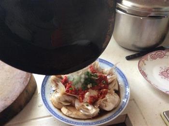 清蒸鲜鱼翅怎么做,清蒸鲜鱼翅怎么做好吃,清蒸鲜鱼翅做法 清蒸鲜鱼翅怎么做,清蒸鲜鱼翅怎么做好吃,清蒸鲜鱼翅做法