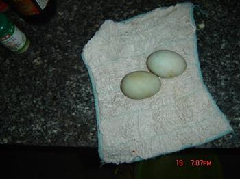 蛋花狗脊叶汤怎么做,蛋花狗脊叶汤怎么做好吃,蛋花狗脊叶汤做法 蛋花狗脊叶汤怎么做,蛋花狗脊叶汤怎么做好吃,蛋花狗脊叶汤做法