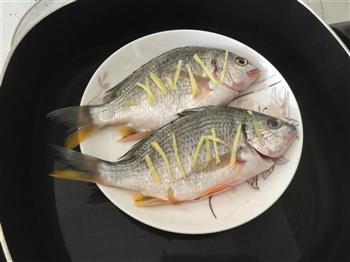 清蒸黄鳍鲷怎么做,清蒸黄鳍鲷怎么做好吃,清蒸黄鳍鲷做法 清蒸黄鳍鲷怎么做,清蒸黄鳍鲷怎么做好吃,清蒸黄鳍鲷做法