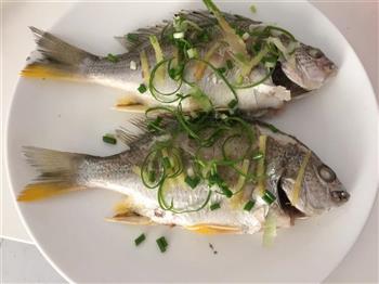 清蒸黄鳍鲷怎么做,清蒸黄鳍鲷怎么做好吃,清蒸黄鳍鲷做法 清蒸黄鳍鲷怎么做,清蒸黄鳍鲷怎么做好吃,清蒸黄鳍鲷做法