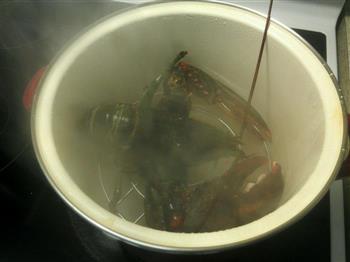 波士顿龙虾的做法怎么做,波士顿龙虾的做法怎么做好吃,波士顿龙虾的做法做法 波士顿龙虾的做法怎么做,波士顿龙虾的做法怎么做好吃,波士顿龙虾的做法做法