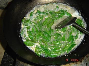 蛋花狗脊叶汤怎么做,蛋花狗脊叶汤怎么做好吃,蛋花狗脊叶汤做法 蛋花狗脊叶汤怎么做,蛋花狗脊叶汤怎么做好吃,蛋花狗脊叶汤做法